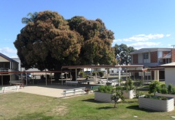 school grounds
